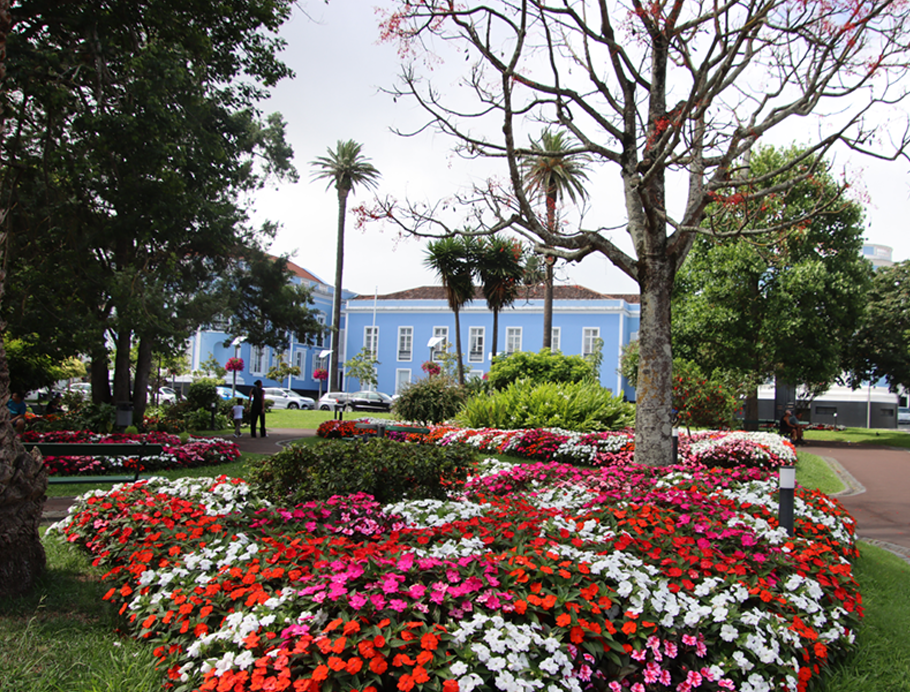 sao miguel flowers
